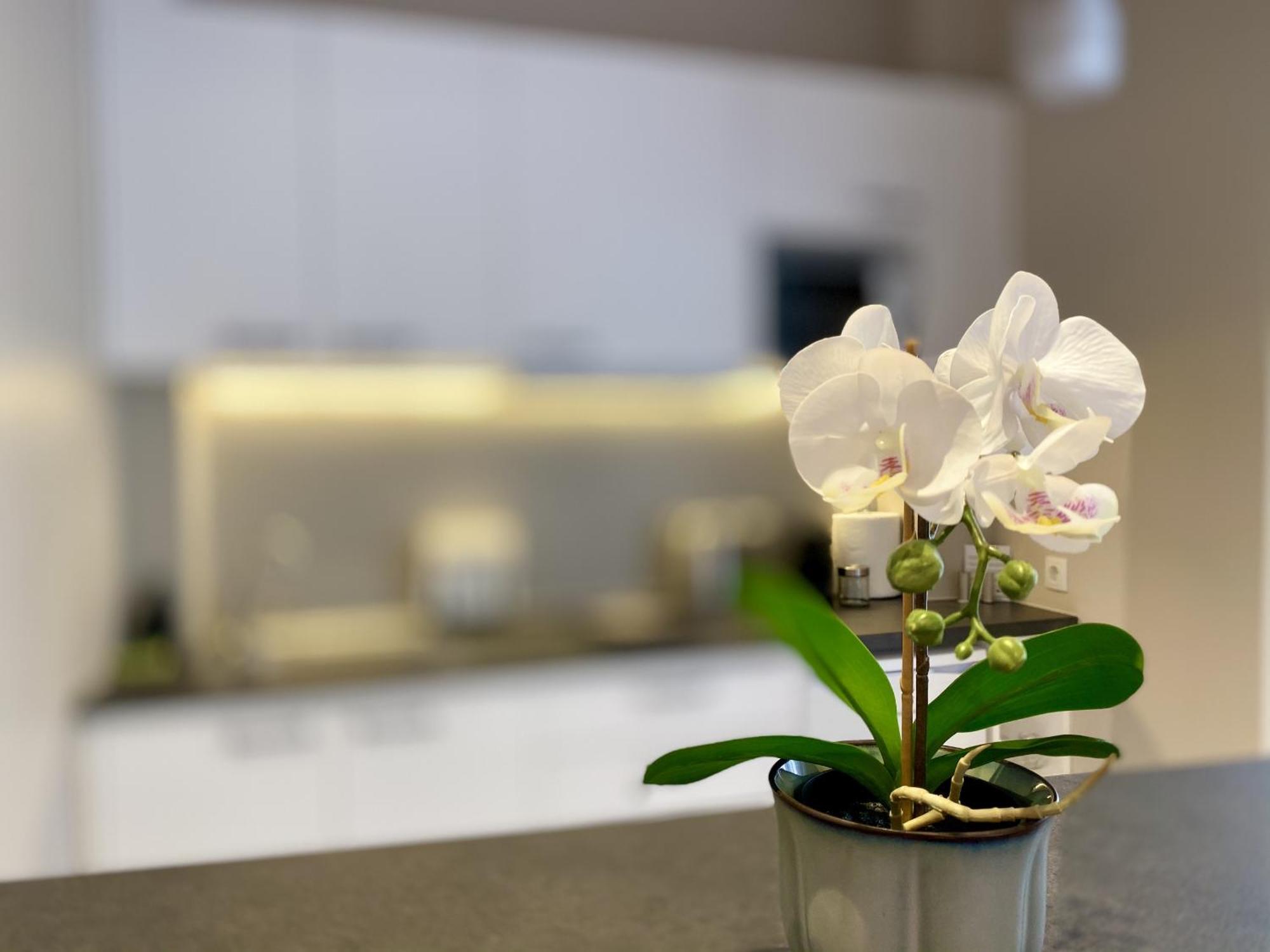 Luxury Studio In Historical Center, Syntagma-Plaka Athens Ngoại thất bức ảnh